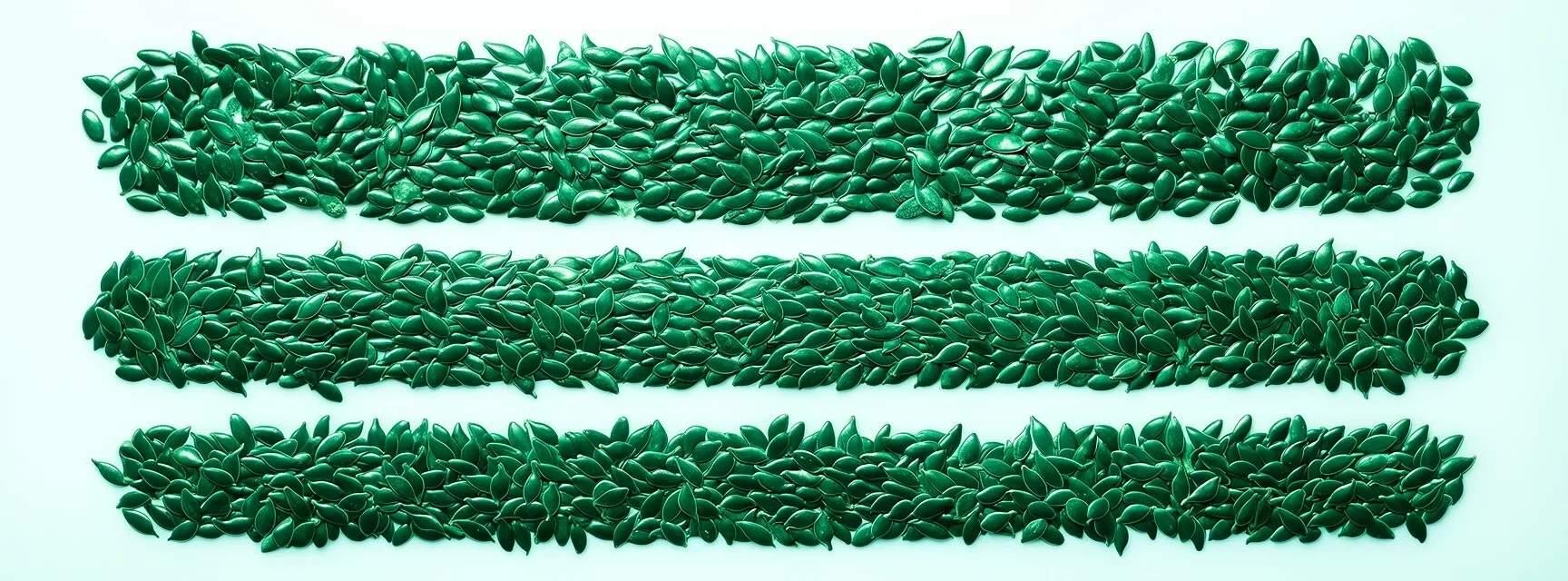Organic data seeds